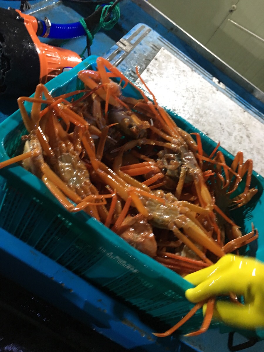 대일자동차공업사 이미지