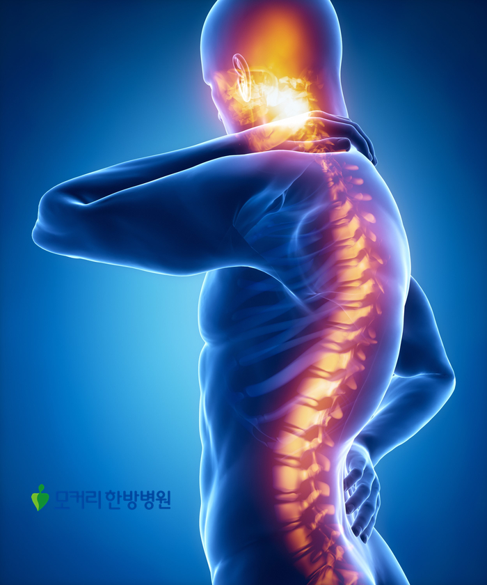 마포모커리한의원 이미지