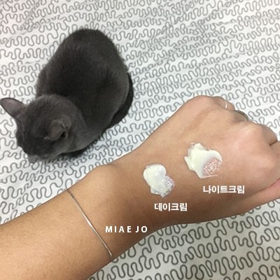 씨엔(CIEN) 이미지