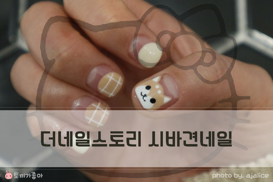 더 네일스토리 이미지