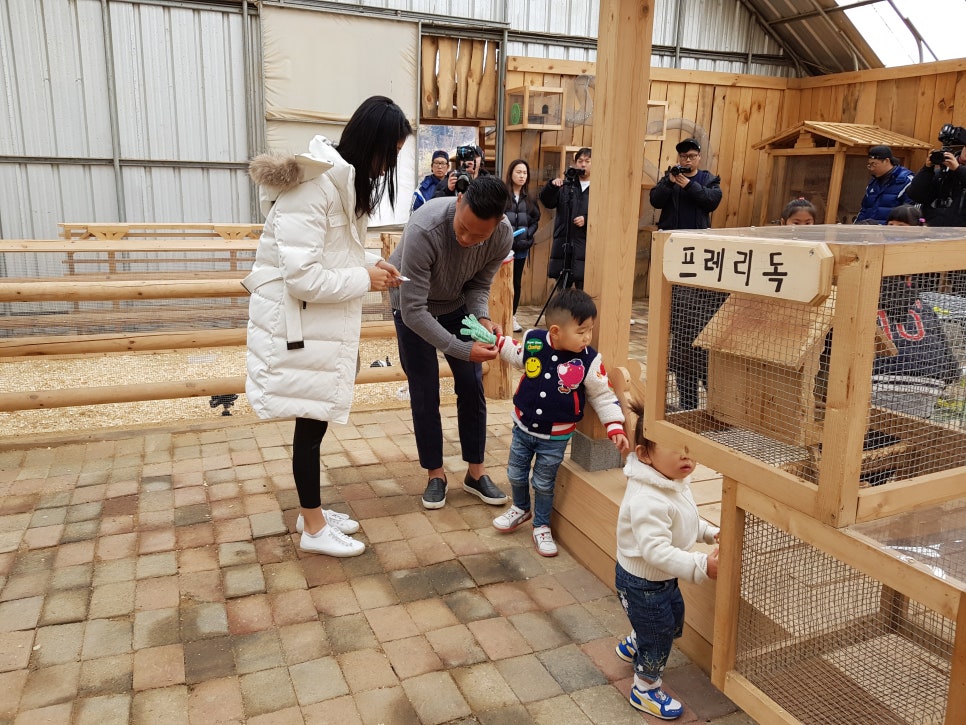대관령주주파크 이미지