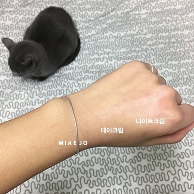 씨엔(CIEN) 이미지