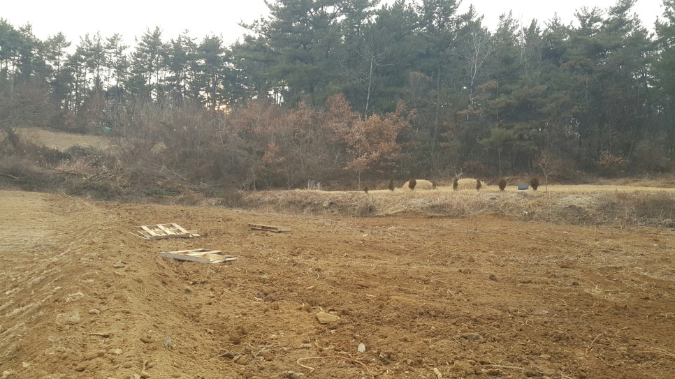 주식회사녹원 이미지