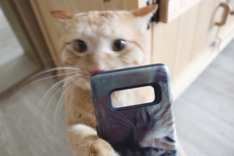 케이스홀릭 이미지