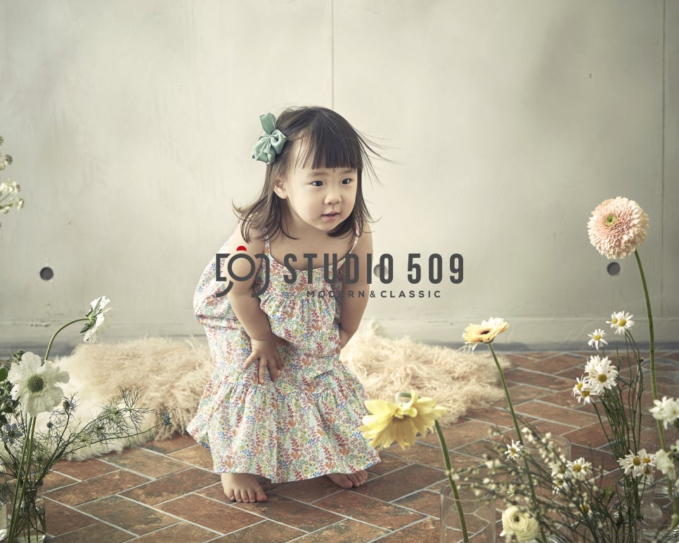 스튜디오509 이미지