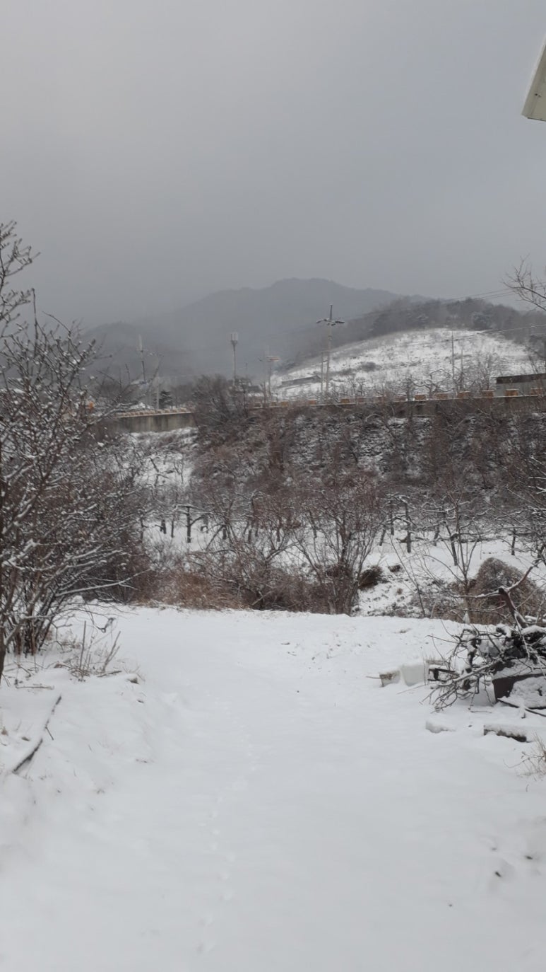 솔봉농원 이미지