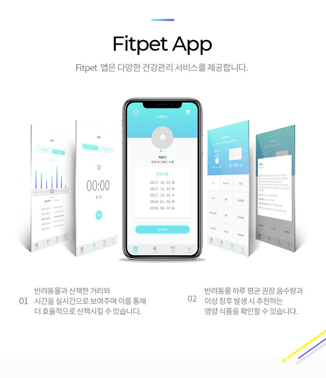 어헤드(Ahead) 이미지