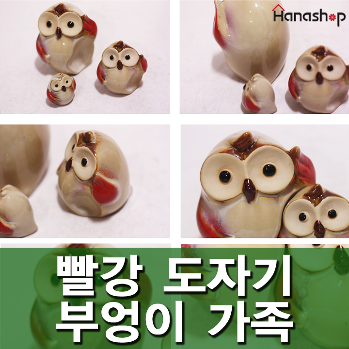 빨강부엉이 이미지