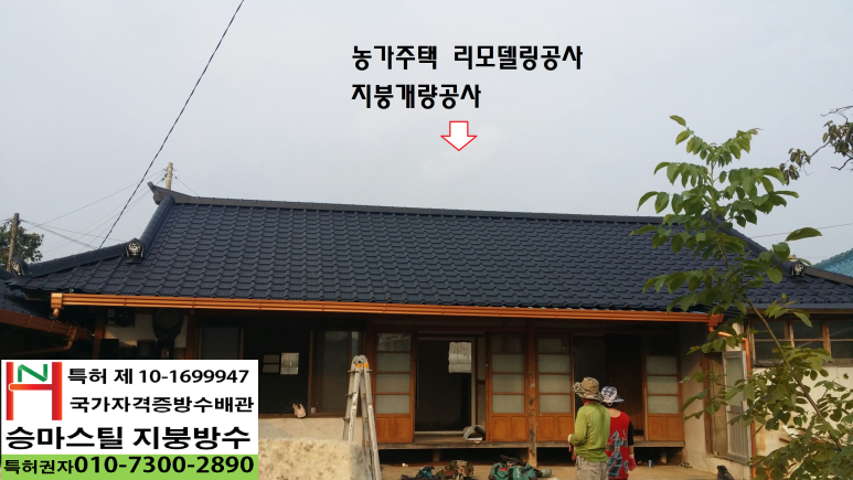 온양칼라 이미지