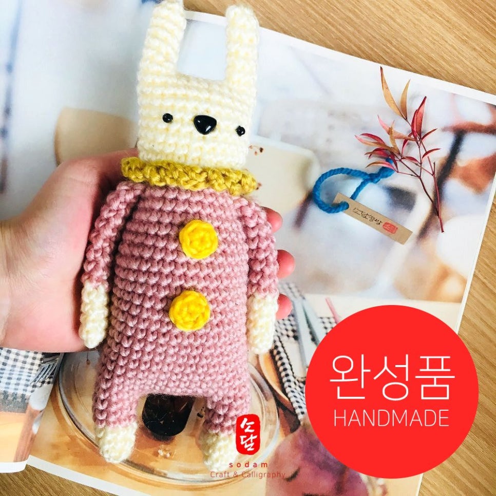 핑크몰리 이미지