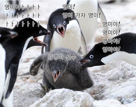 영미광고 이미지