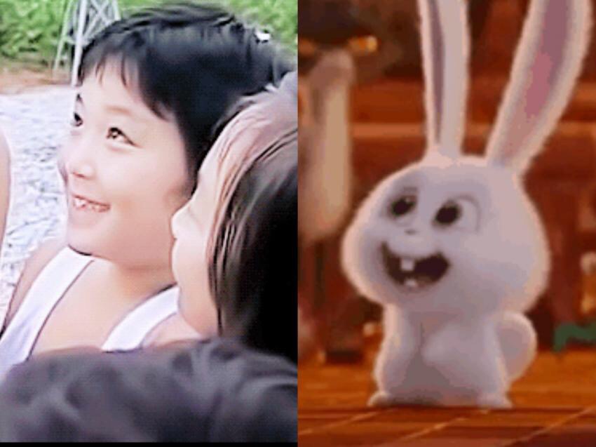 진심토끼 이미지