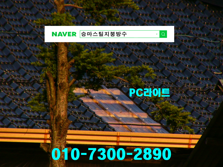 온양칼라 이미지