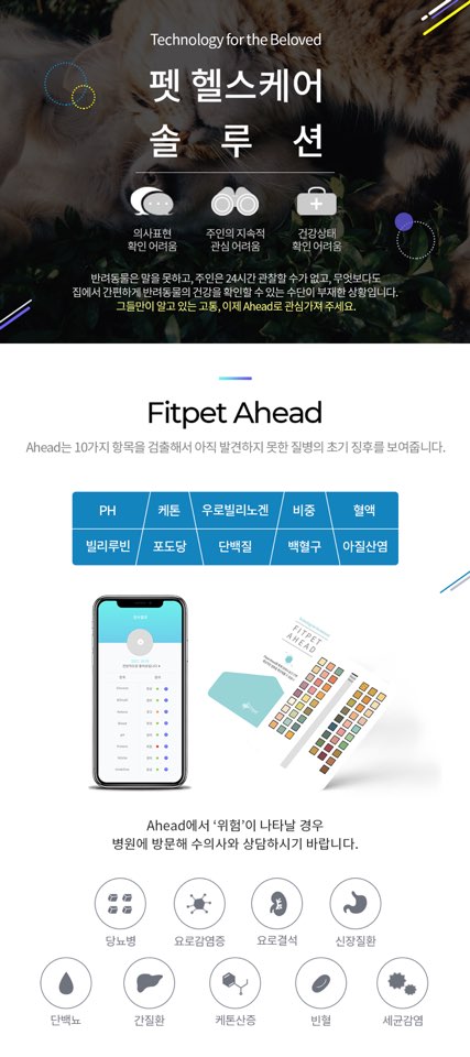 어헤드(Ahead) 이미지