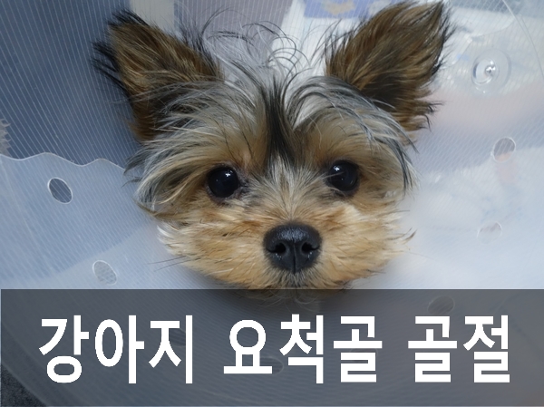 우신정형외과 이미지