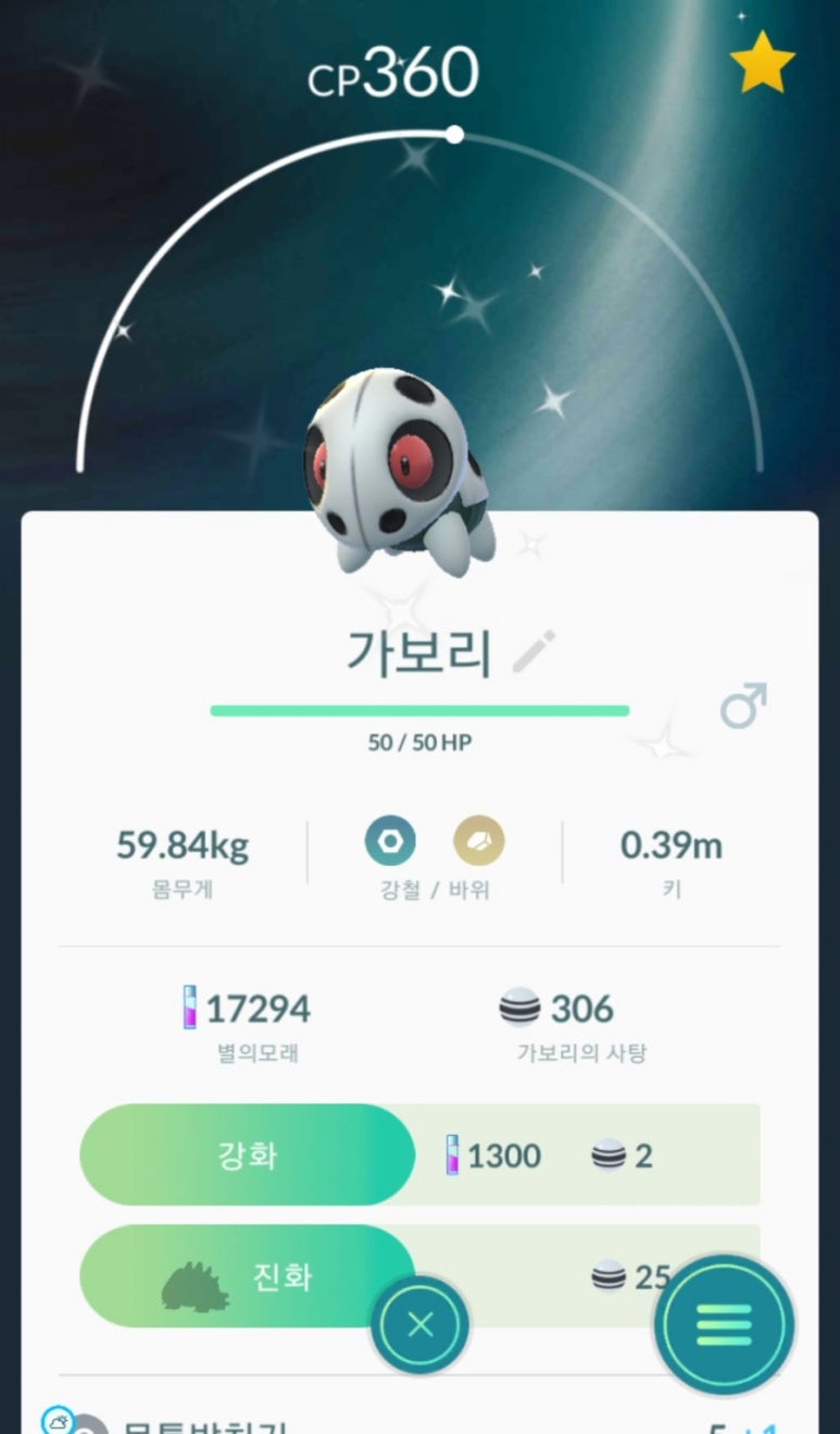 가보리 이미지