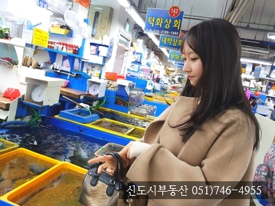 덕화상회 이미지