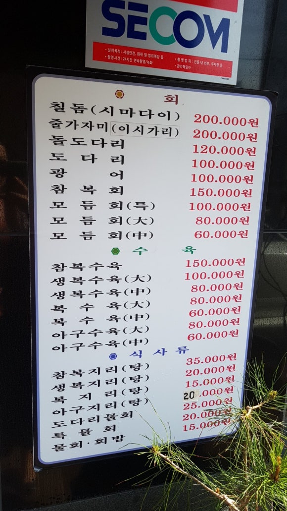 감포은정복어 이미지