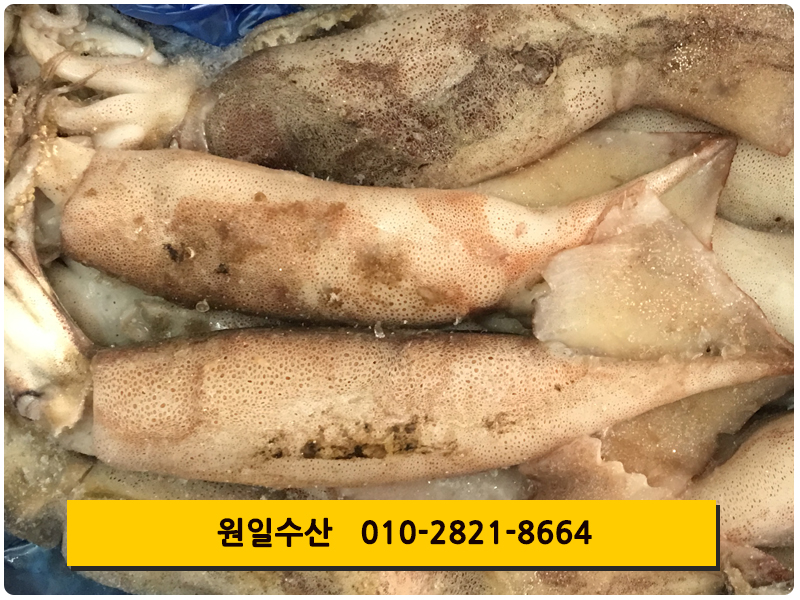 원일수산 이미지