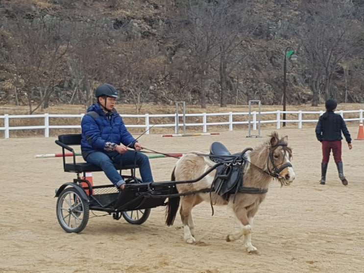 마차 이미지