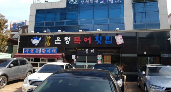 감포은정복어 이미지