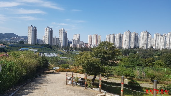 유승카센타 이미지