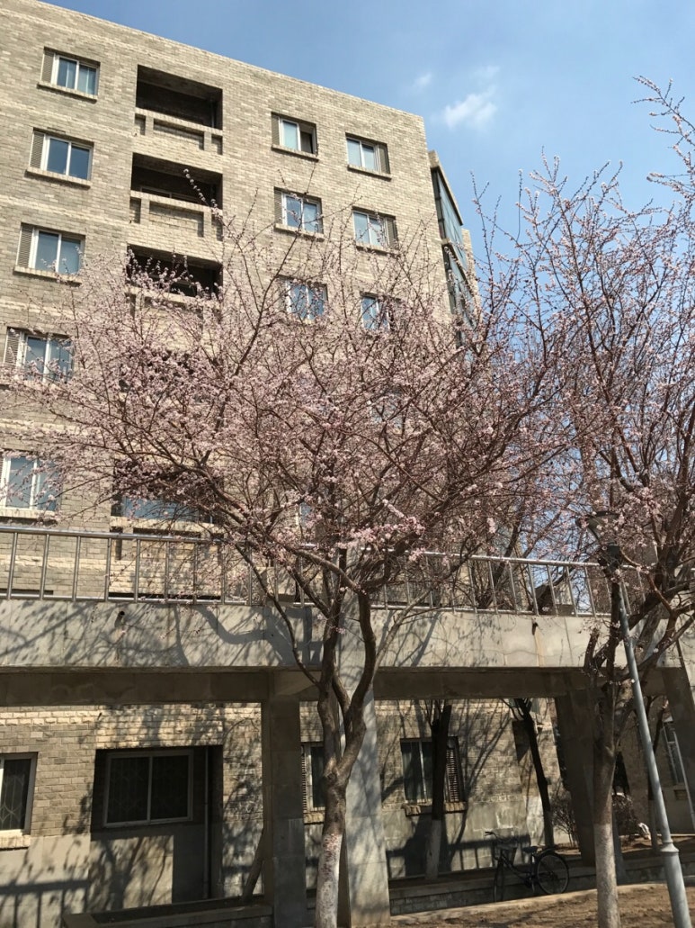 친에이치알 이미지