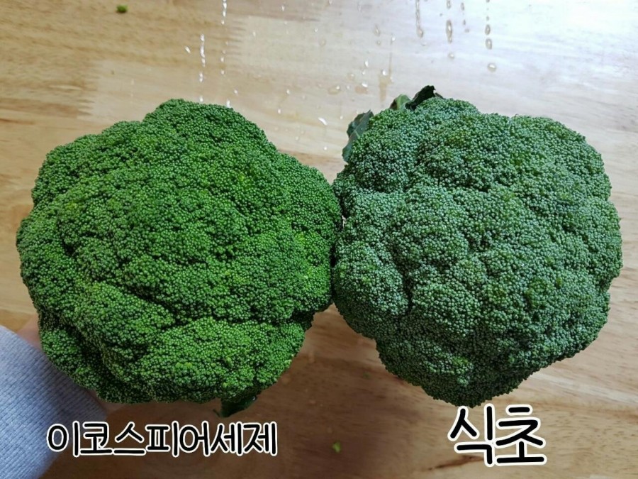 스킨스피어 이미지
