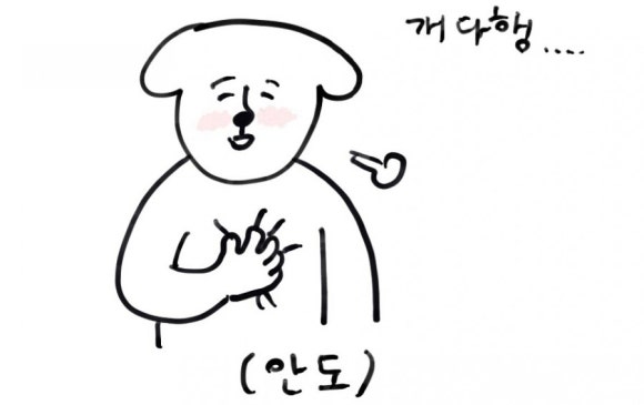 더모모야 이미지