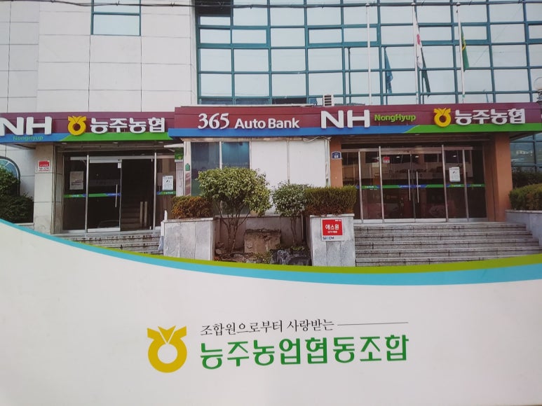 능주농협 이미지