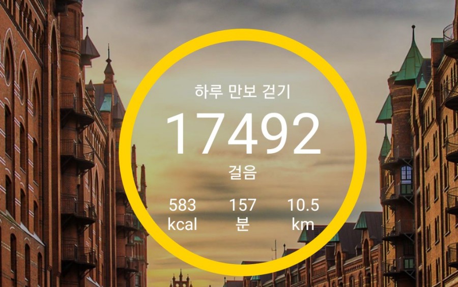 씨드앤씨드 베이커리 이미지
