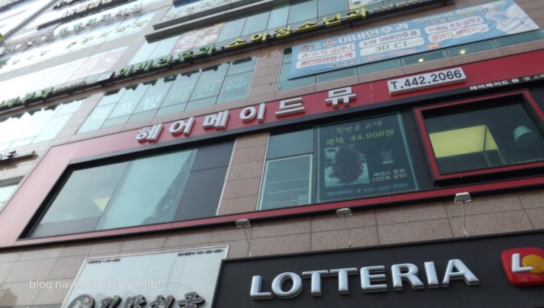 헤어메이드뮤 이미지