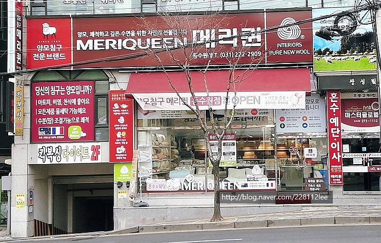 메리퀸동 이미지