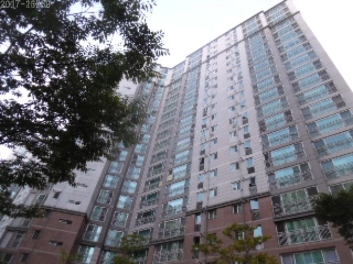 호평초등학교 이미지