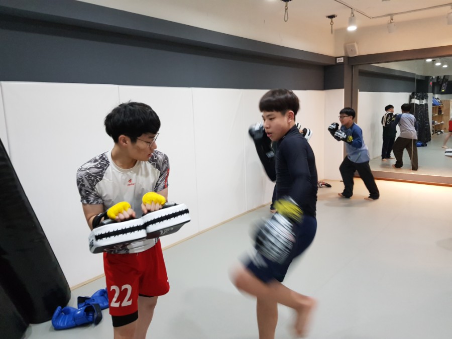 성호미트 이미지