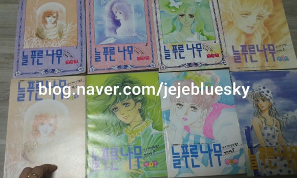 늘푸른서점 이미지