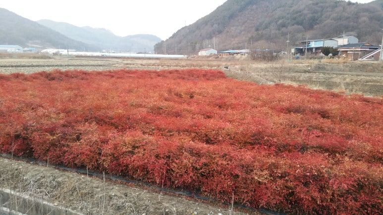 (주)아주농장 이미지