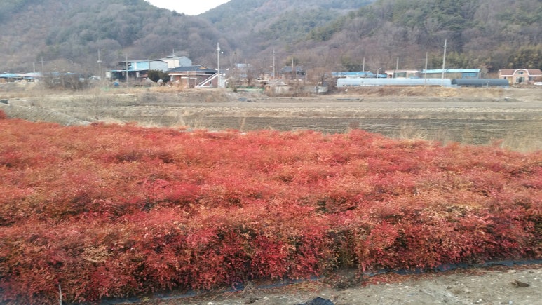 (주)아주농장 이미지