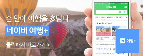 롯데관광플러스 이미지