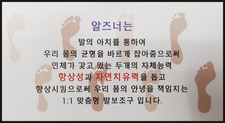 알즈너대한 이미지
