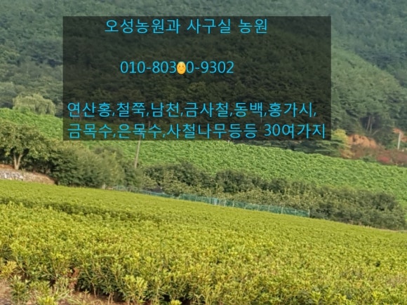 오성농원 이미지