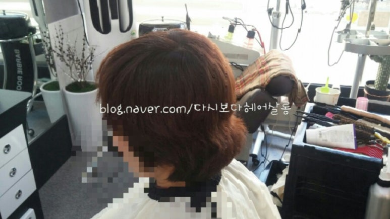 다시보다헤어살롱 이미지