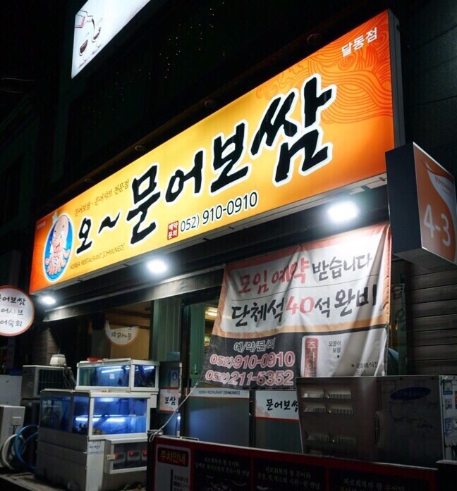 오가문어 이미지