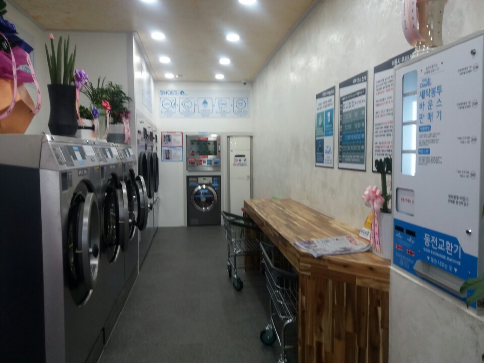 제일크린 이미지
