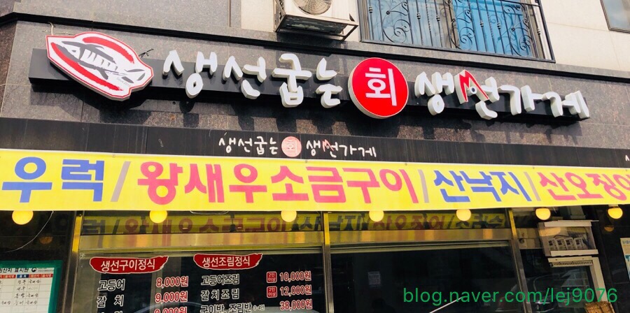 날아라 생선 이미지