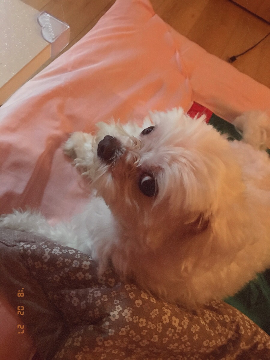 중흥피아노학원 이미지