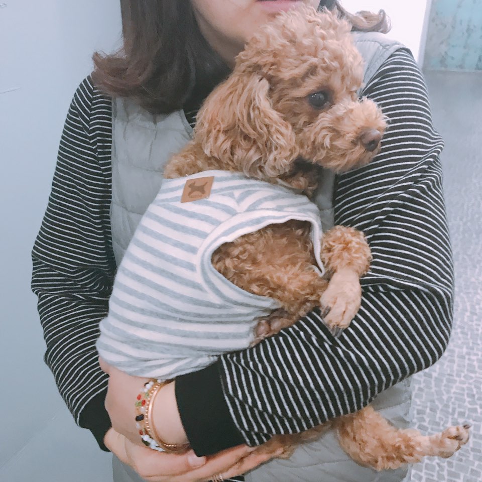 예뜰리에 이미지