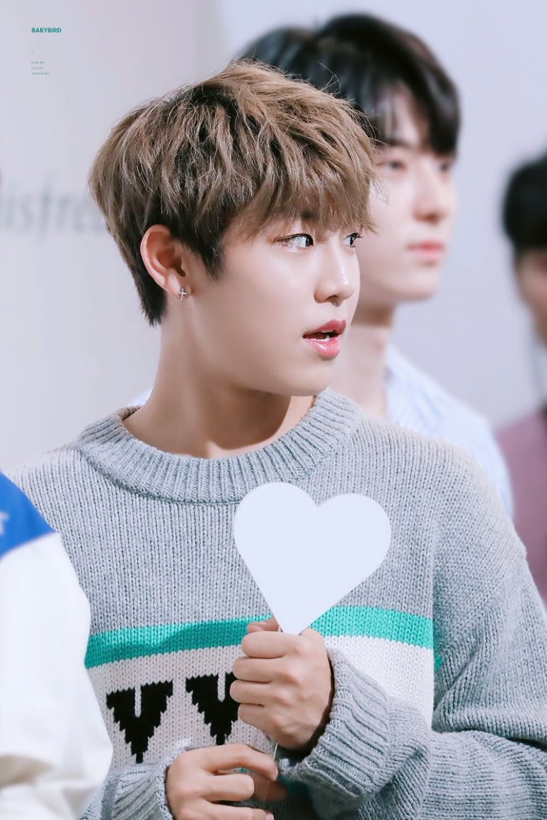 모아광고사 이미지