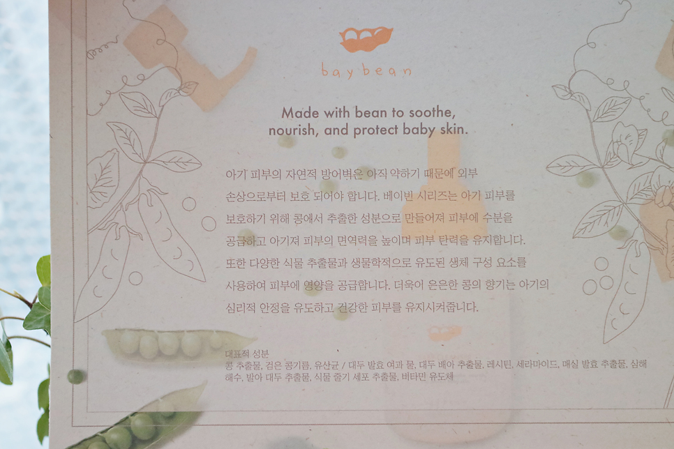베이빈 이미지