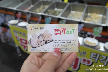 주문진티각태각 이미지